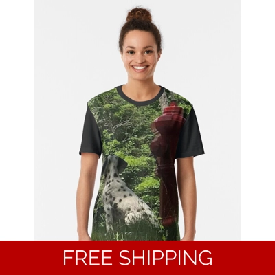 Le Studio Graphic T-Shirt Rush Signals Monument 2020 Back